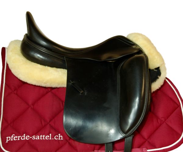 1075_Amerigo Cortina Dressur schwarz_I